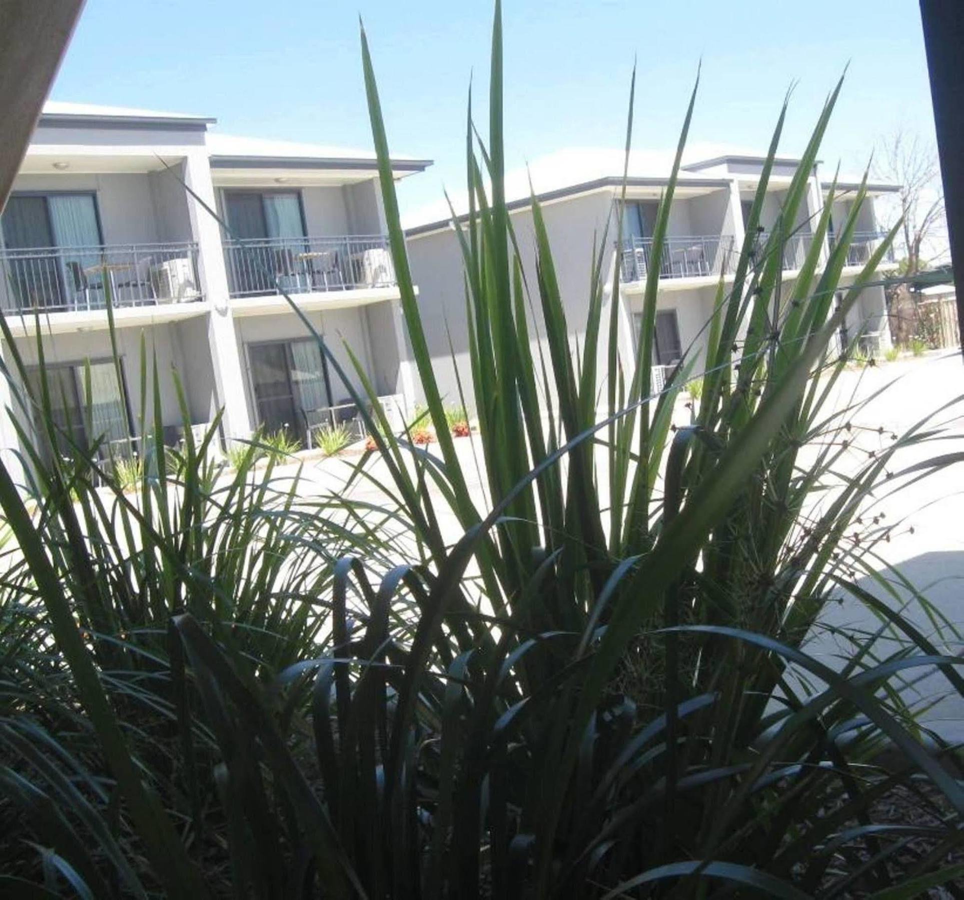 Royal Motel Miles Exterior foto